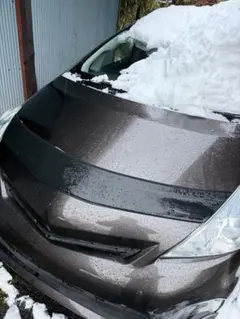 2026年最新】ノーズブラ usの人気アイテム - メルカリ