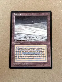 2026年最新】tundra mtgの人気アイテム - メルカリ