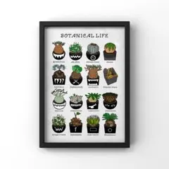 2026年最新】塊根植物 ポスターの人気アイテム - メルカリ