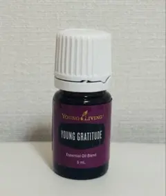 2026年最新】ヤングリビングの人気アイテム - メルカリ