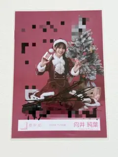 2026年最新】向井純葉 直筆サインの人気アイテム - メルカリ
