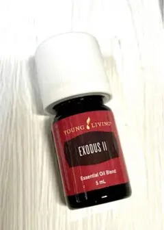 2026年最新】エクソダス ヤングの人気アイテム - メルカリ