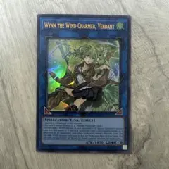 2026年最新】風霊使いウィンの人気アイテム - メルカリ