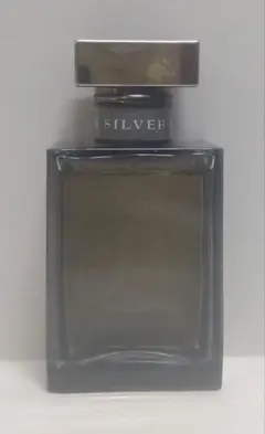 2026年最新】ラルフローレン ロマンス シルバーの人気アイテム - メルカリ