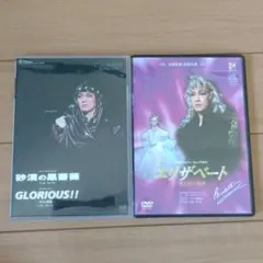 2026年最新】宙組 砂漠の黒薔薇の人気アイテム - メルカリ