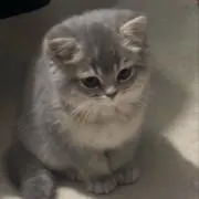 ASTRO （All Light / SWITCH ON）ウヌ多め - メルカリ