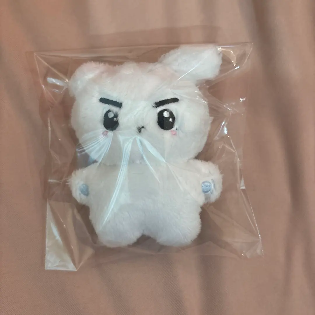 2026年最新】Theboyz ヨンフン ぬいぐるみの人気アイテム - メルカリ