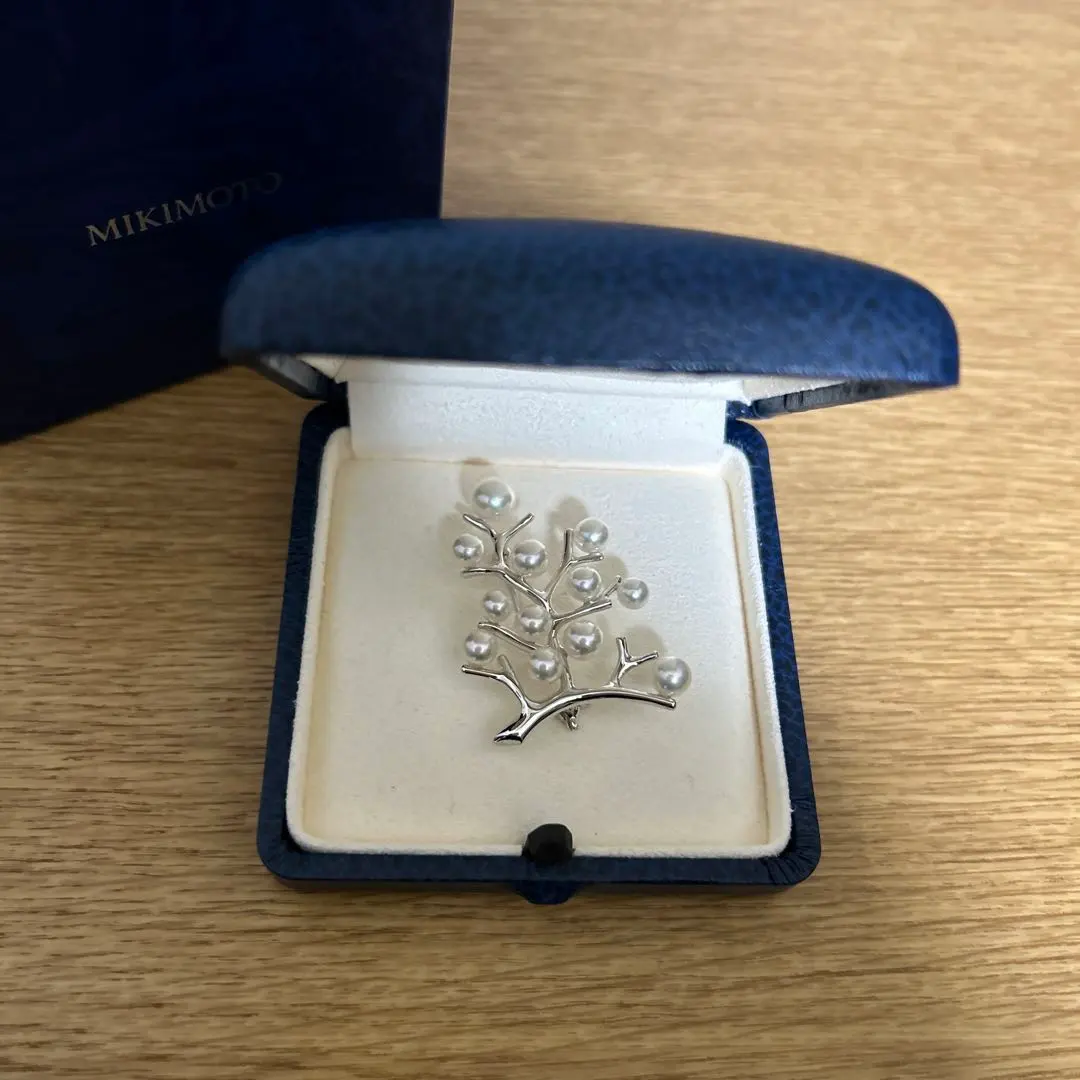 2026年最新】幸福の木 ミキモトの人気アイテム - メルカリ