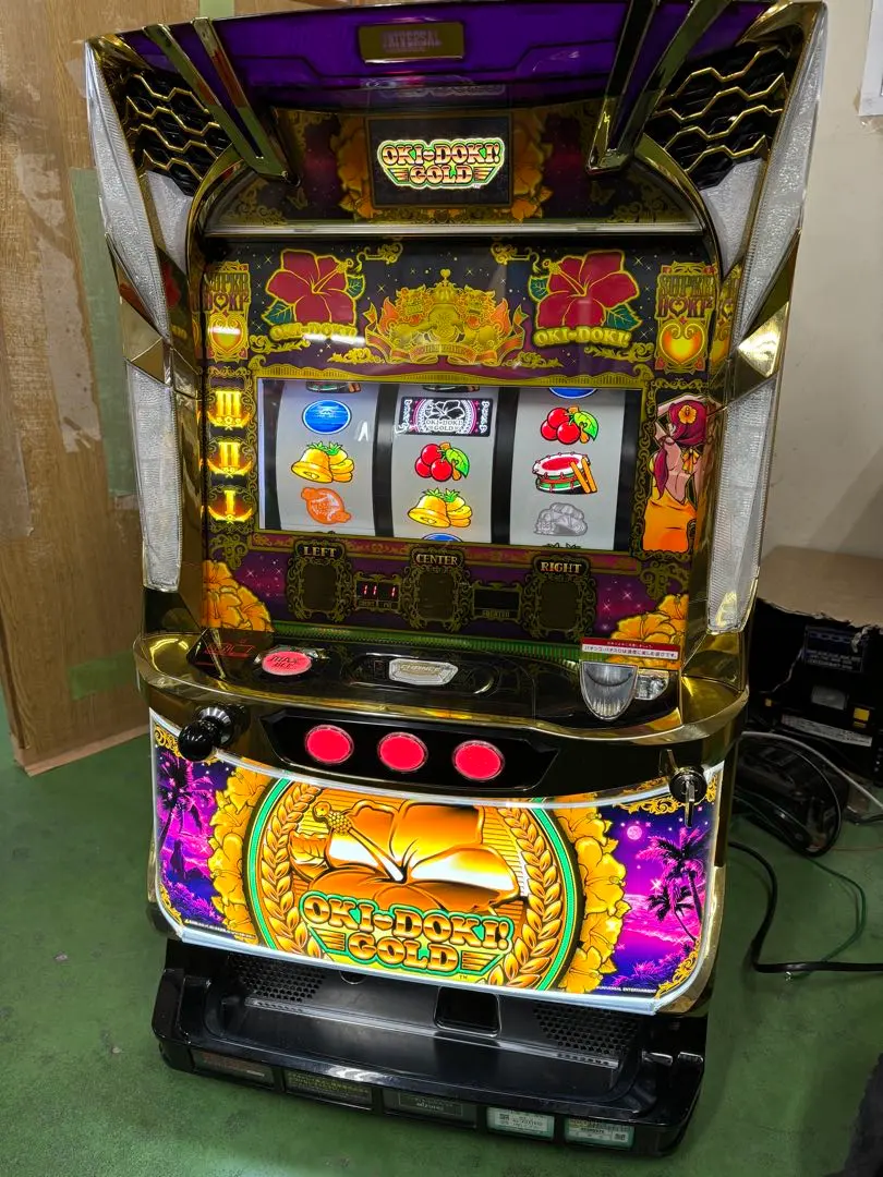 m12001371451_1.jpg?1769931529