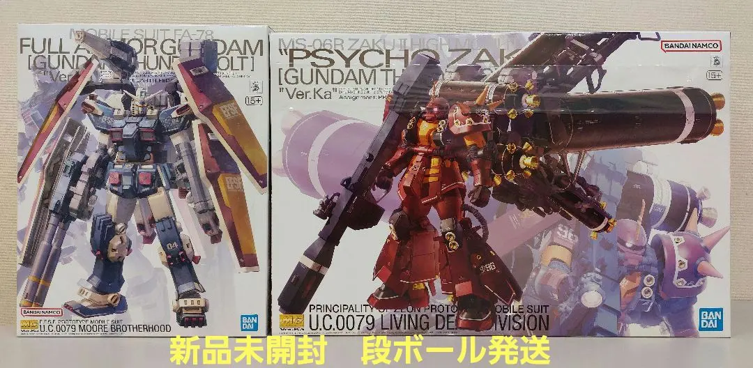 2026年最新】1/100 MG MS-06R 高機動型ザク ”サイコ・ザク” Ver.Ka