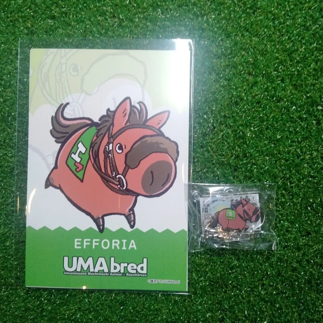 2026年最新】鷹月ナトUMAの人気アイテム - メルカリ