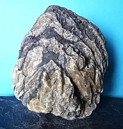 2026年最新】滝石の人気アイテム - メルカリ