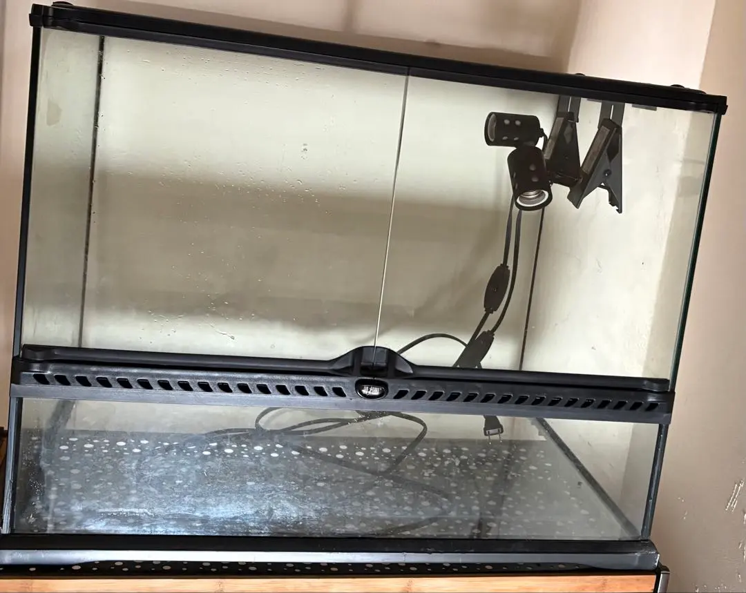 2026年最新】グラステラリウム4530の人気アイテム - メルカリ