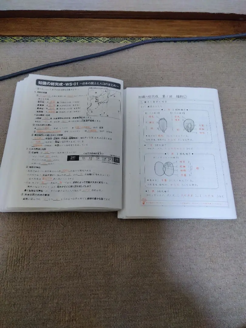 2026年最新】サピックス 社会 知識の総完成の人気アイテム - メルカリ