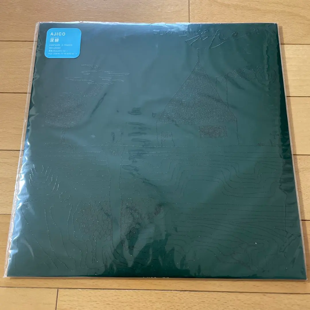 2026年最新】ajico レコードの人気アイテム - メルカリ