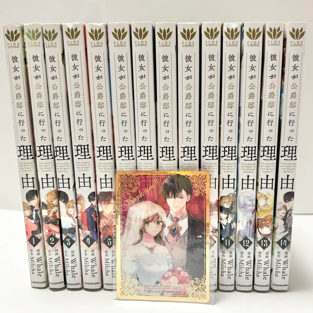 2026年最新】彼女が公爵邸に行った理由 全巻の人気アイテム - メルカリ