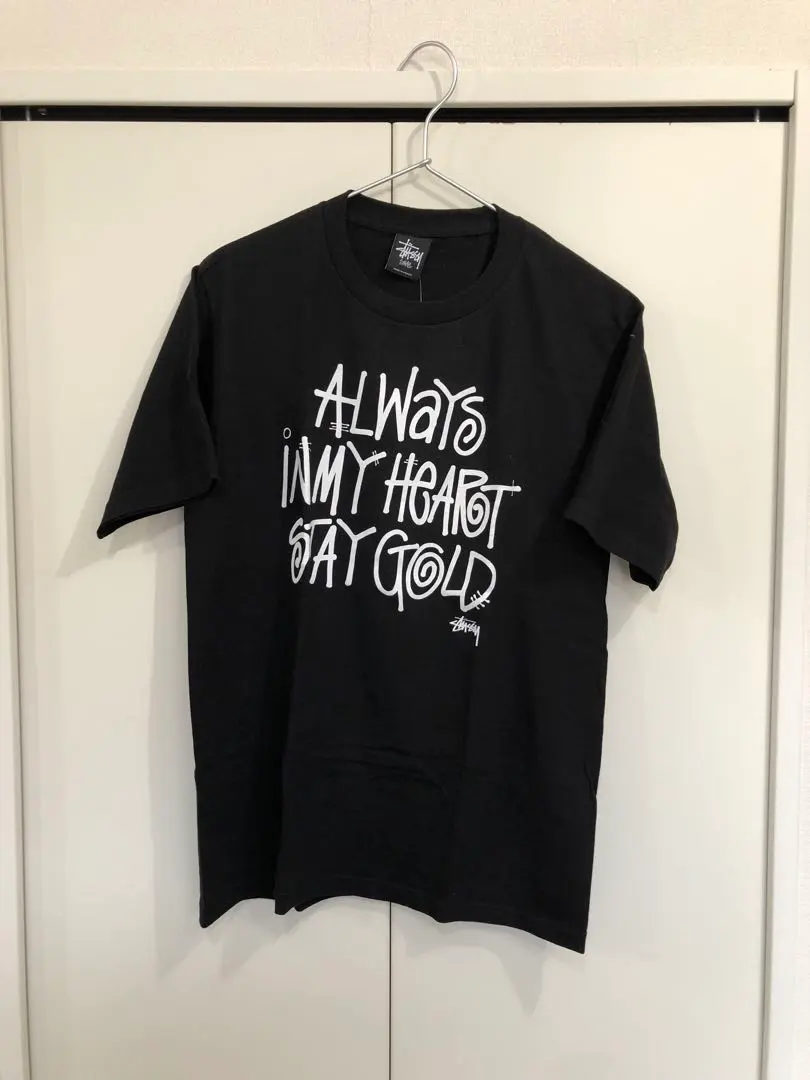 2026年最新】hi standard stay goldの人気アイテム - メルカリ