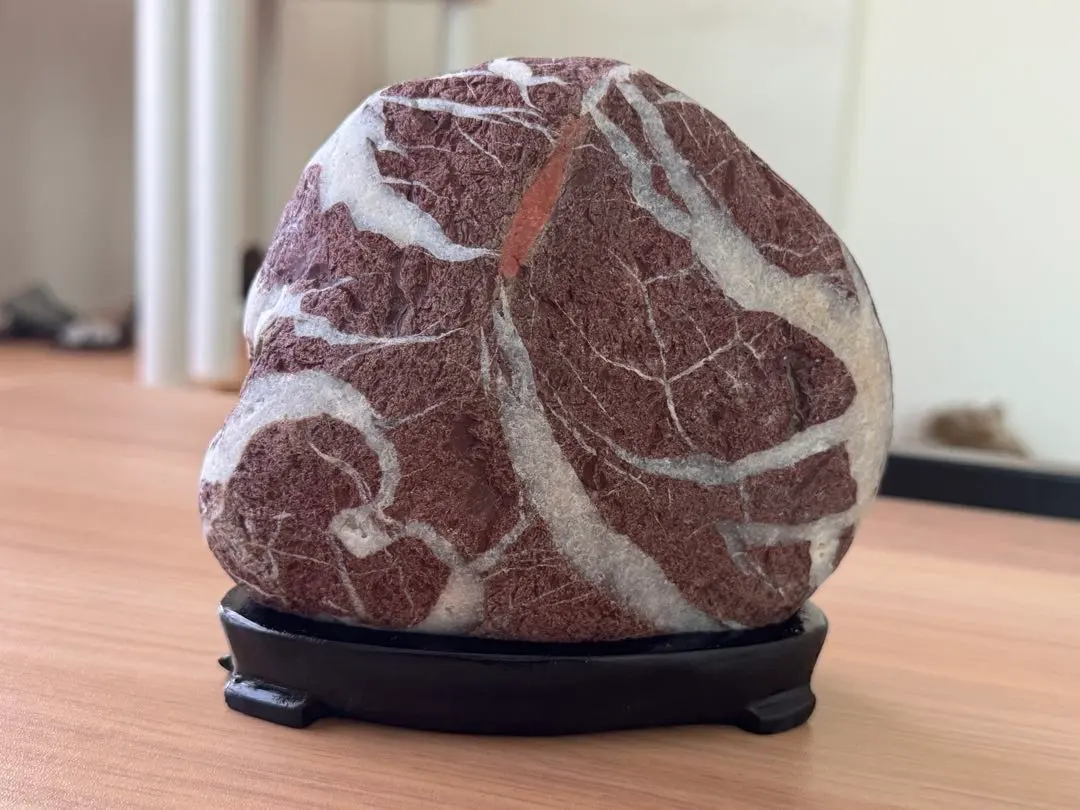 2026年最新】土岐石の人気アイテム - メルカリ