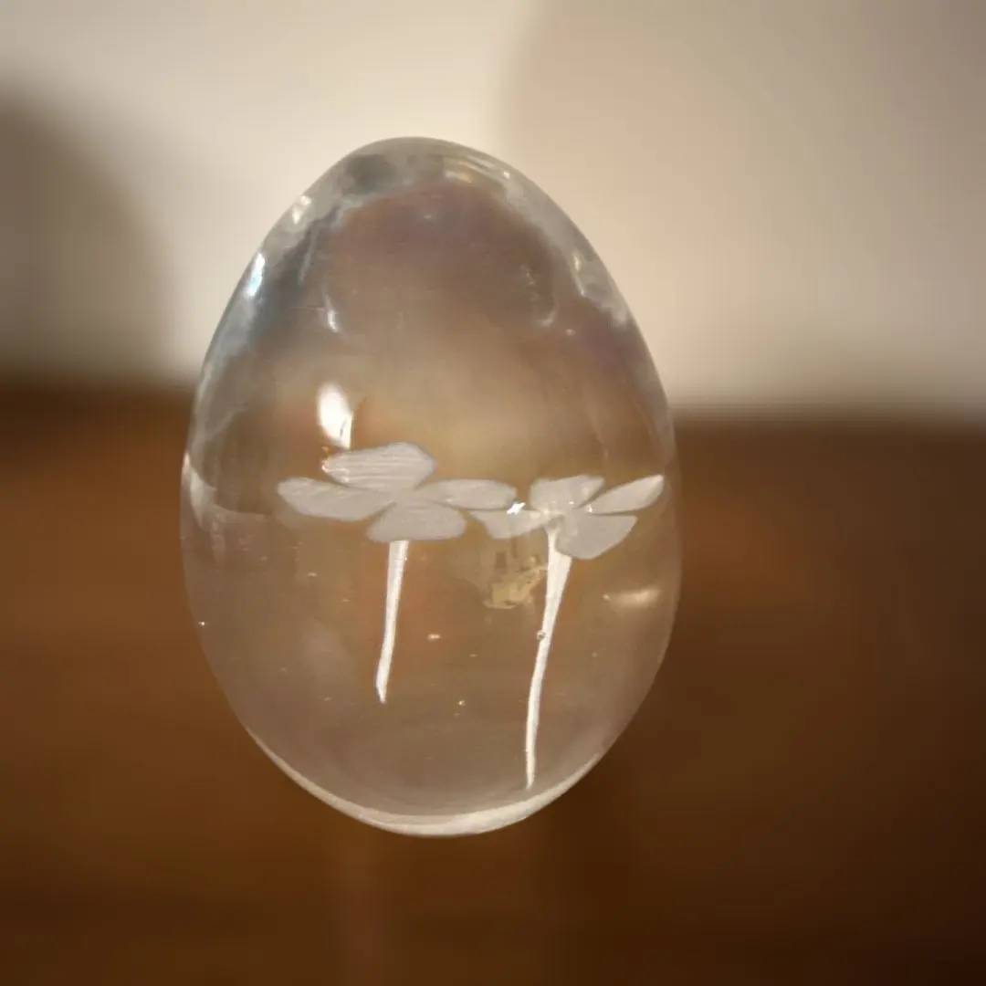 2026年最新】イイノナホの人気アイテム - メルカリ