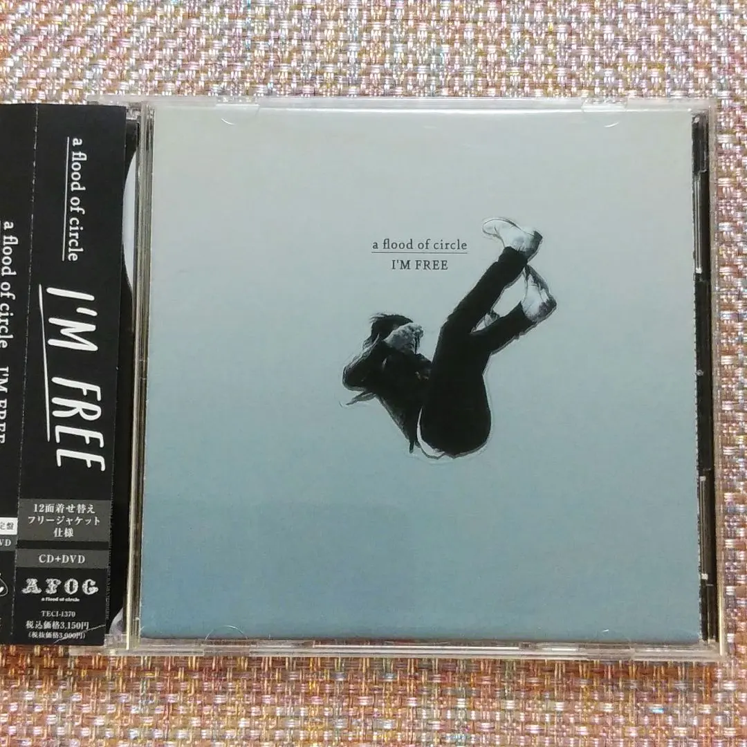 2026年最新】a flood of circle dvdの人気アイテム - メルカリ