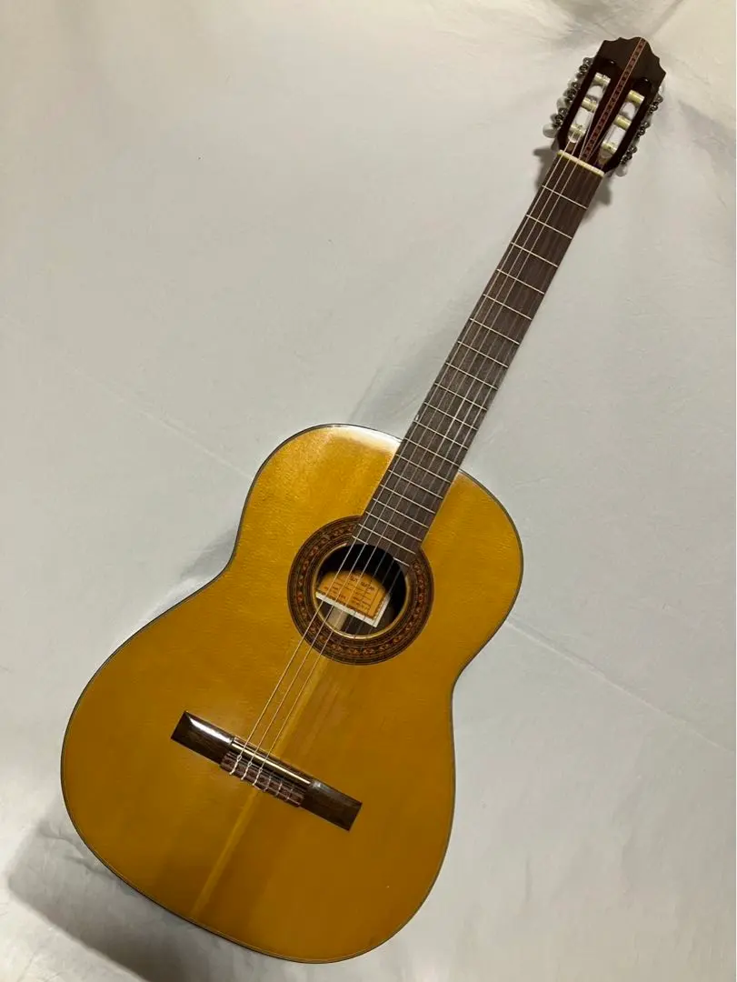 2026年最新】マルハギターの人気アイテム - メルカリ