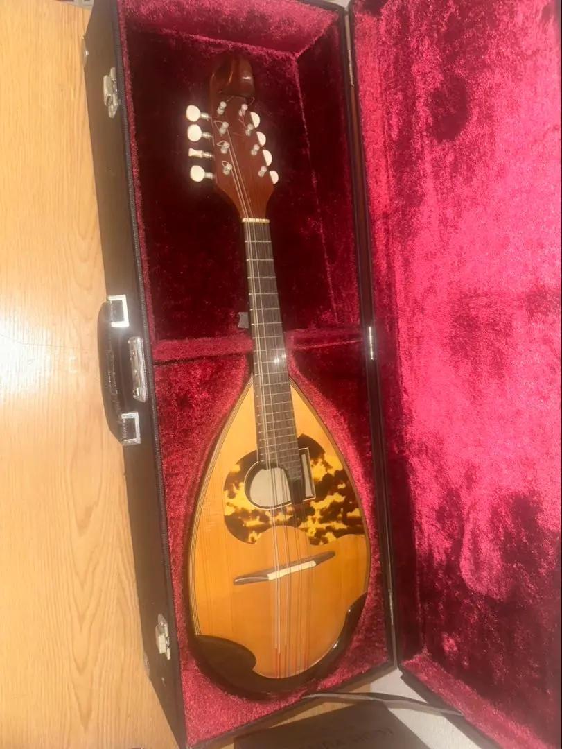 2026年最新】マンドリン 野口の人気アイテム - メルカリ