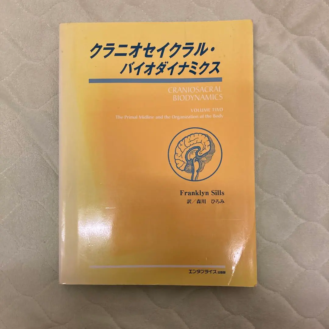 2026年最新】クラニオセイクラルの人気アイテム - メルカリ