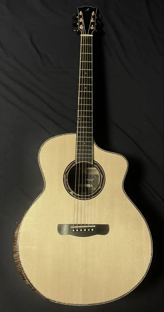 2026年最新】MERIDA ギターの人気アイテム - メルカリ