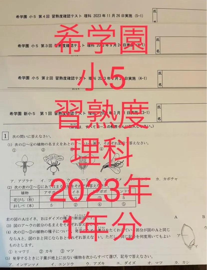 2026年最新】希学園 小5 習熟度の人気アイテム - メルカリ