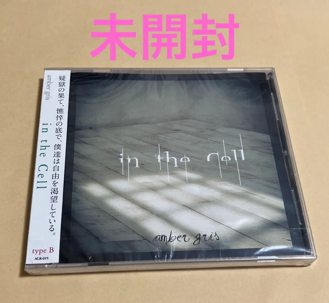 2026年最新】amber gris cdの人気アイテム - メルカリ