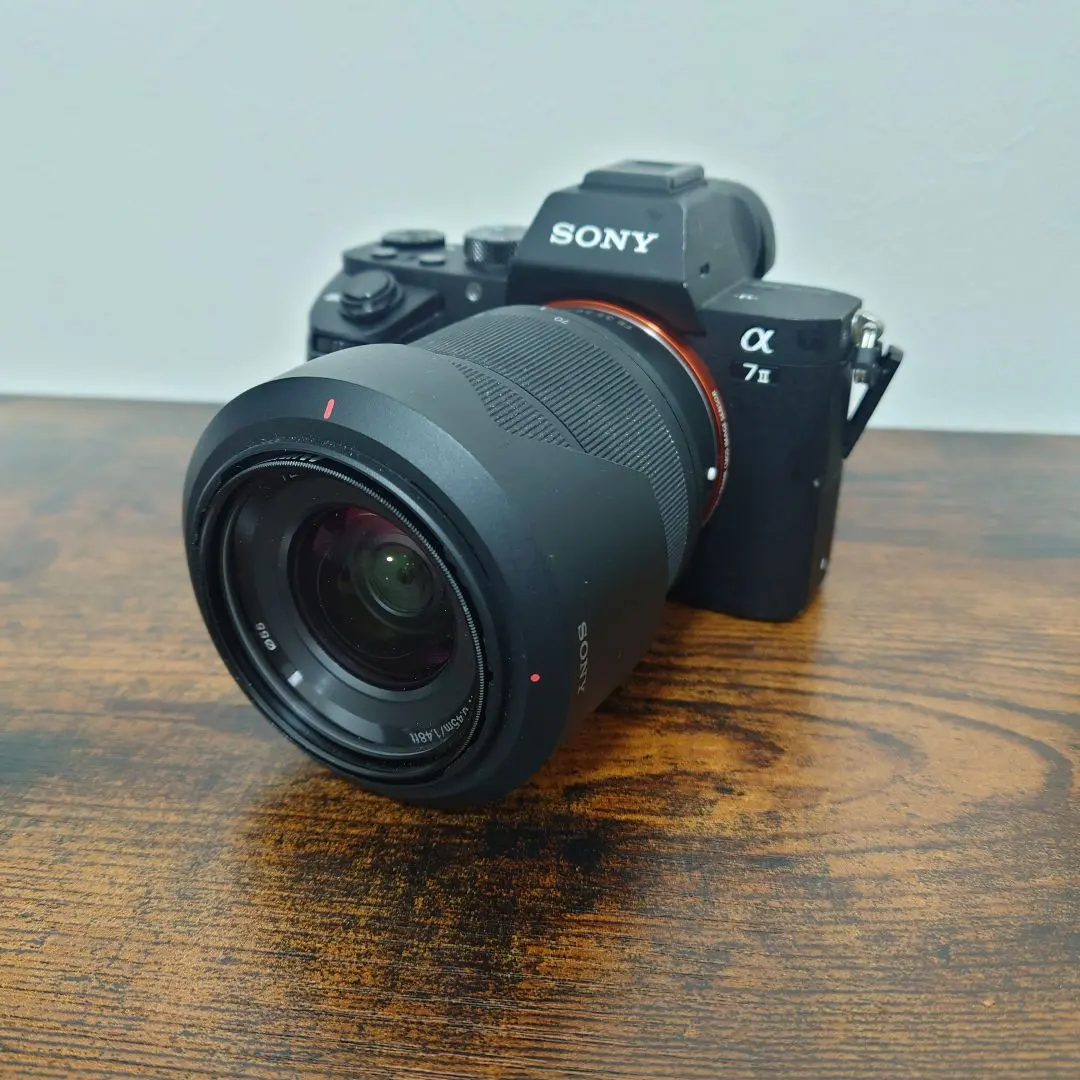 2026年最新】α7ii ジャンクの人気アイテム - メルカリ