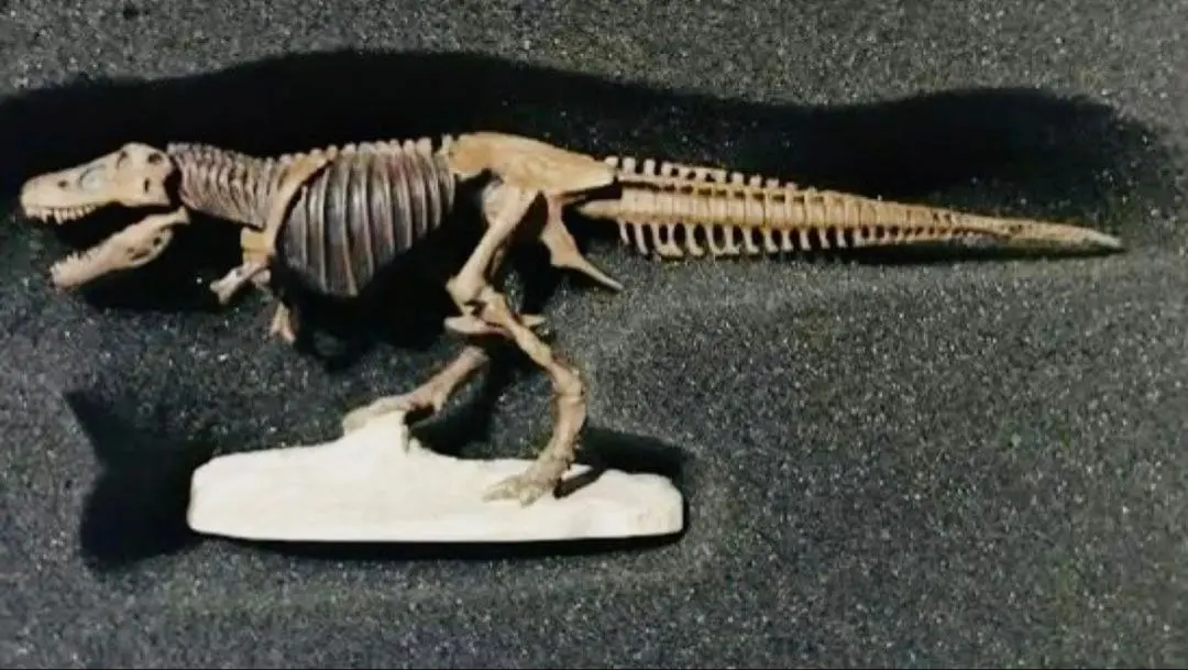 2026年最新】驚異の大恐竜博の人気アイテム - メルカリ