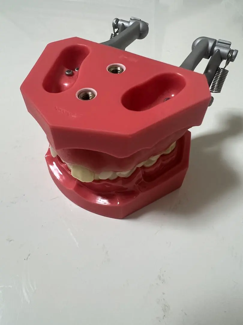 2026年最新】顎模型 ニッシンの人気アイテム - メルカリ