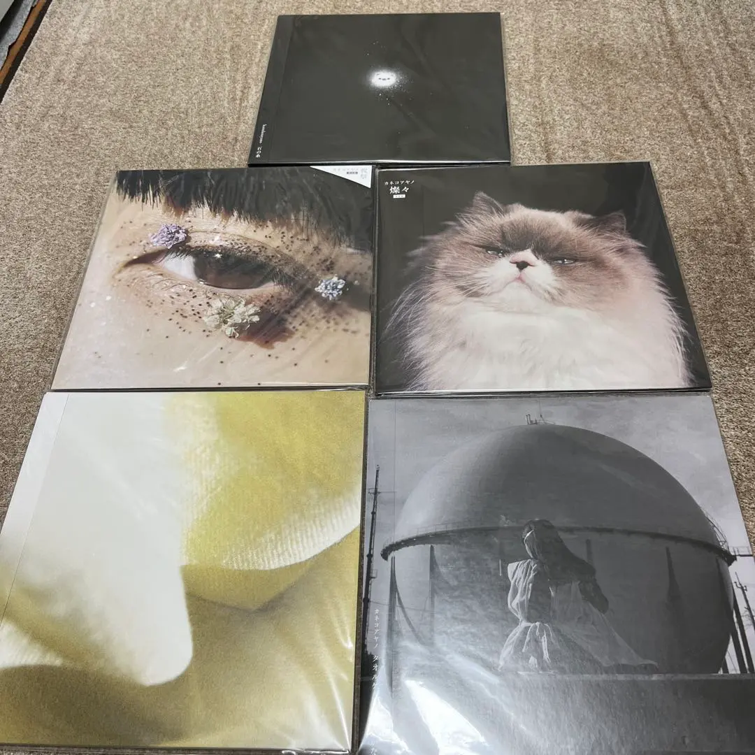 2026年最新】カネコアヤノ 野音 レコードの人気アイテム - メルカリ