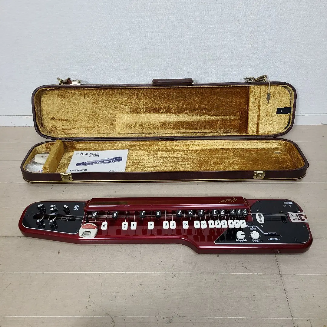 2026年最新】スズキ 大正琴 蘭の人気アイテム - メルカリ