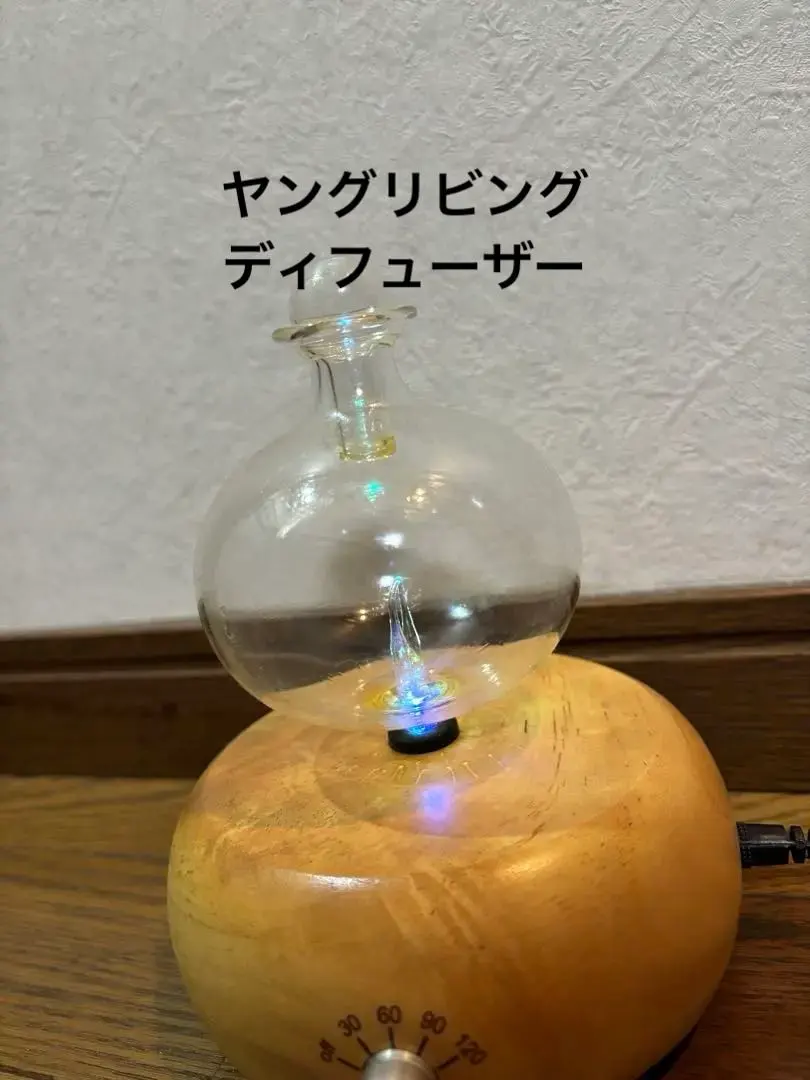 2026年最新】ヤングリビング ディフューザーの人気アイテム - メルカリ