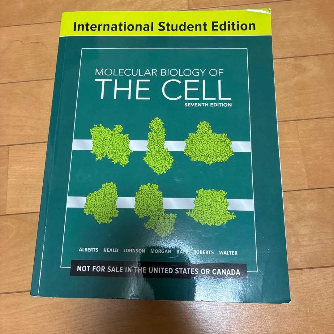 2026年最新】分子細胞生物学 第7版の人気アイテム - メルカリ