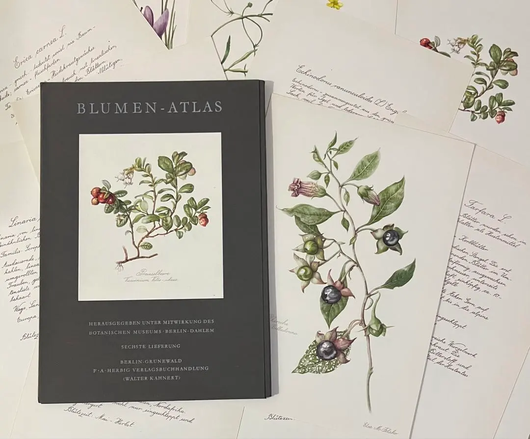 2026年最新】elsa felskoの人気アイテム - メルカリ