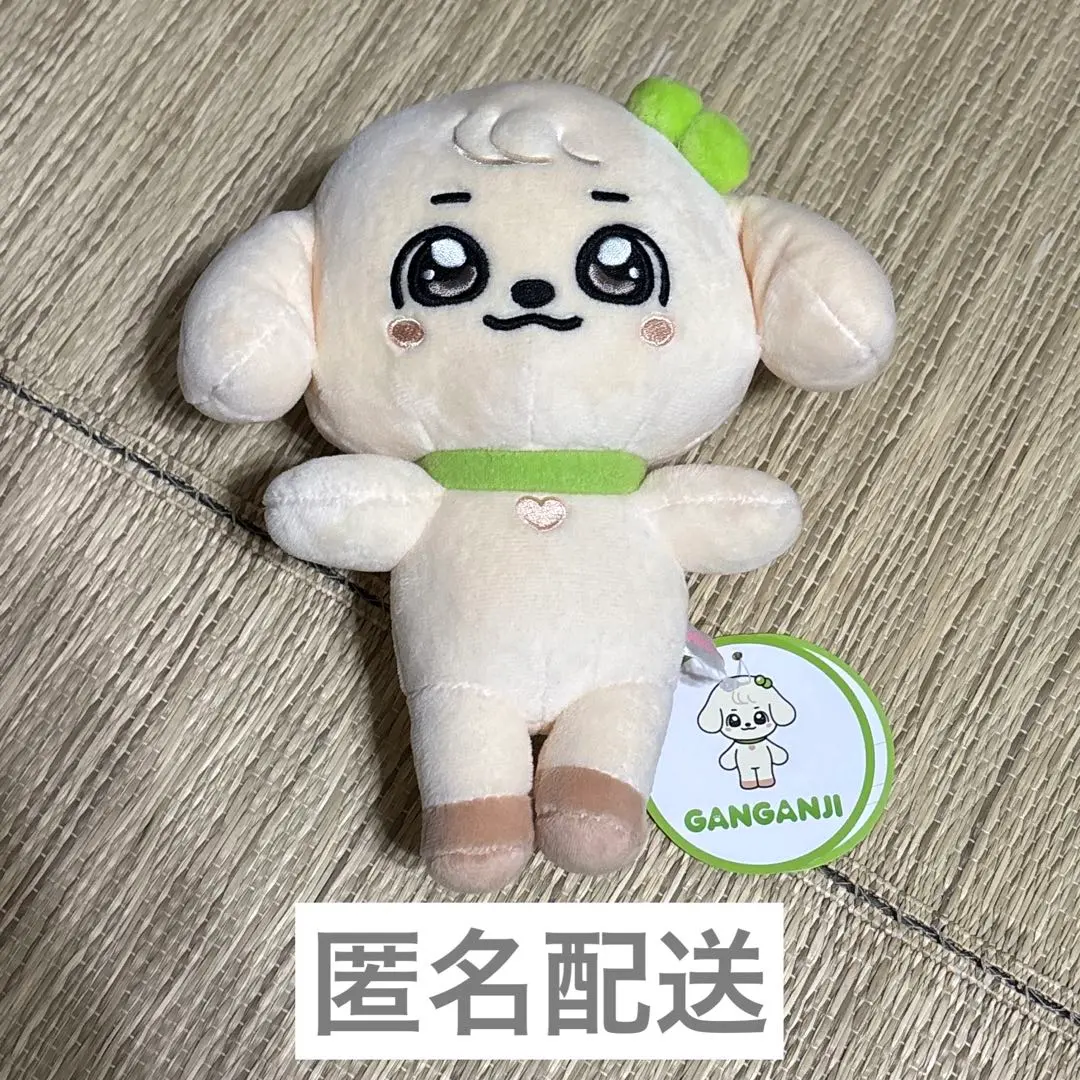 2026年最新】ive minive ユジン カンアンジの人気アイテム - メルカリ