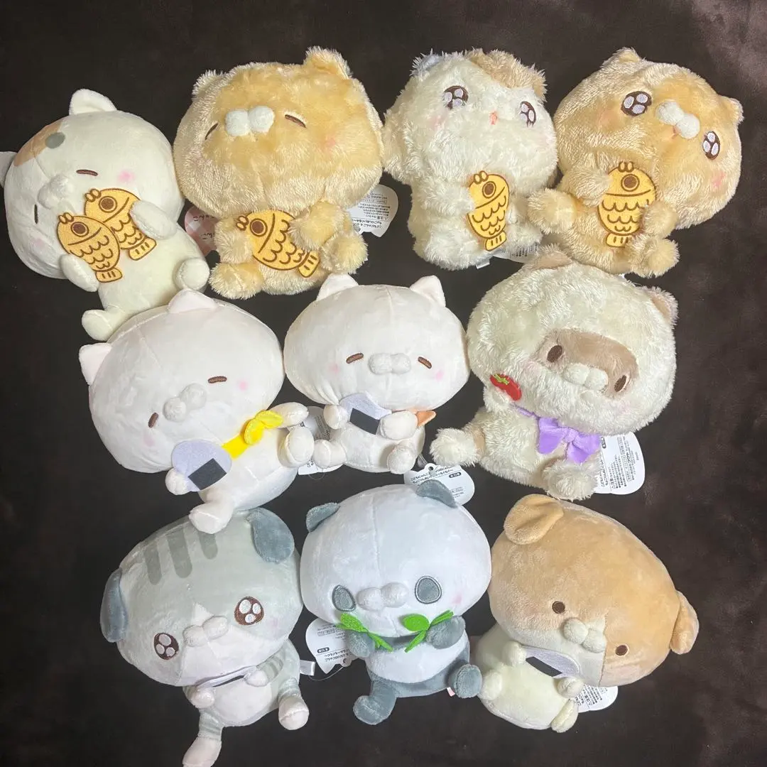 2026年最新】こどもにゃんこ となりのにゃんこの人気アイテム - メルカリ