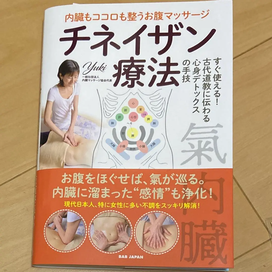 2026年最新】気内臓療法 本の人気アイテム - メルカリ