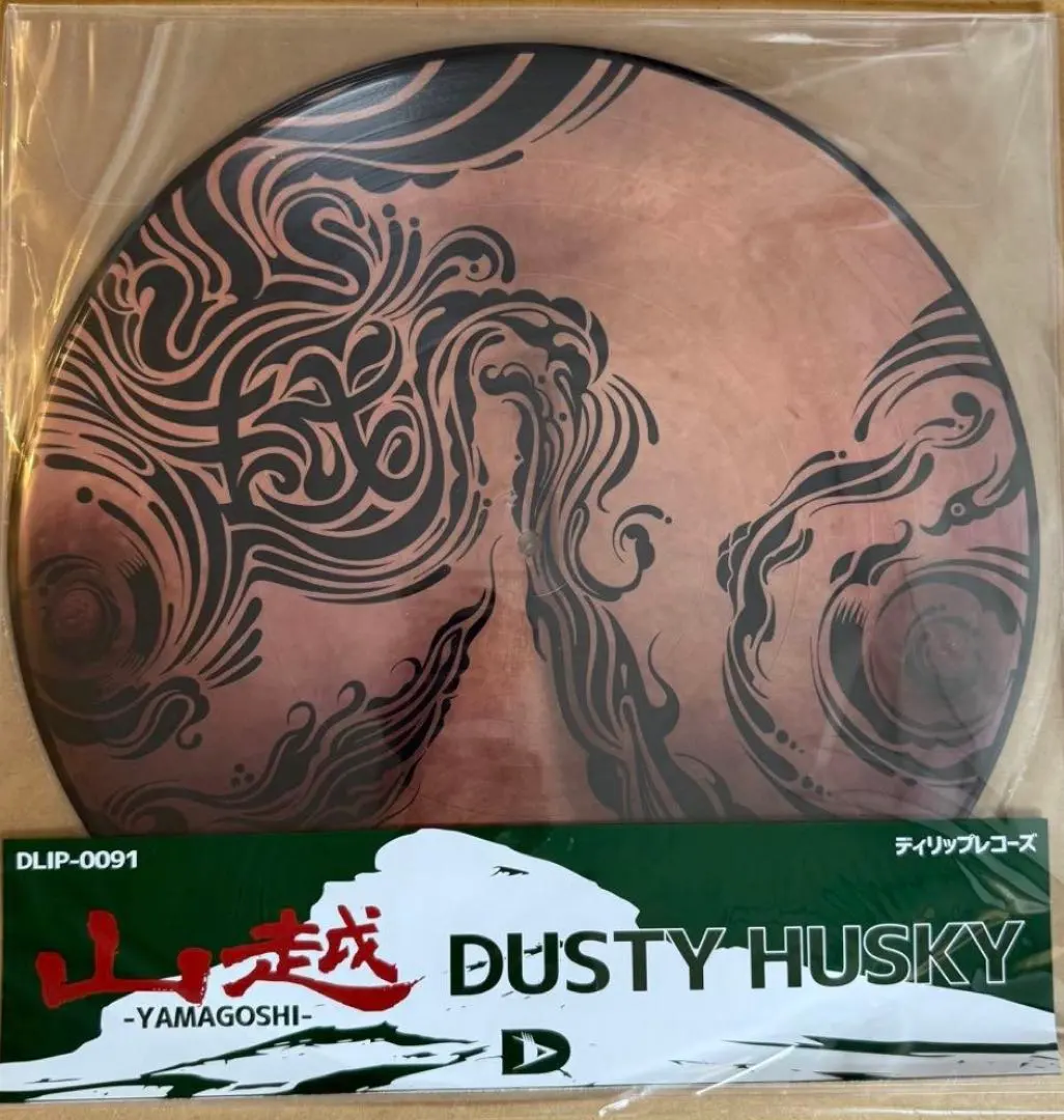 2026年最新】dlip records レコードの人気アイテム - メルカリ