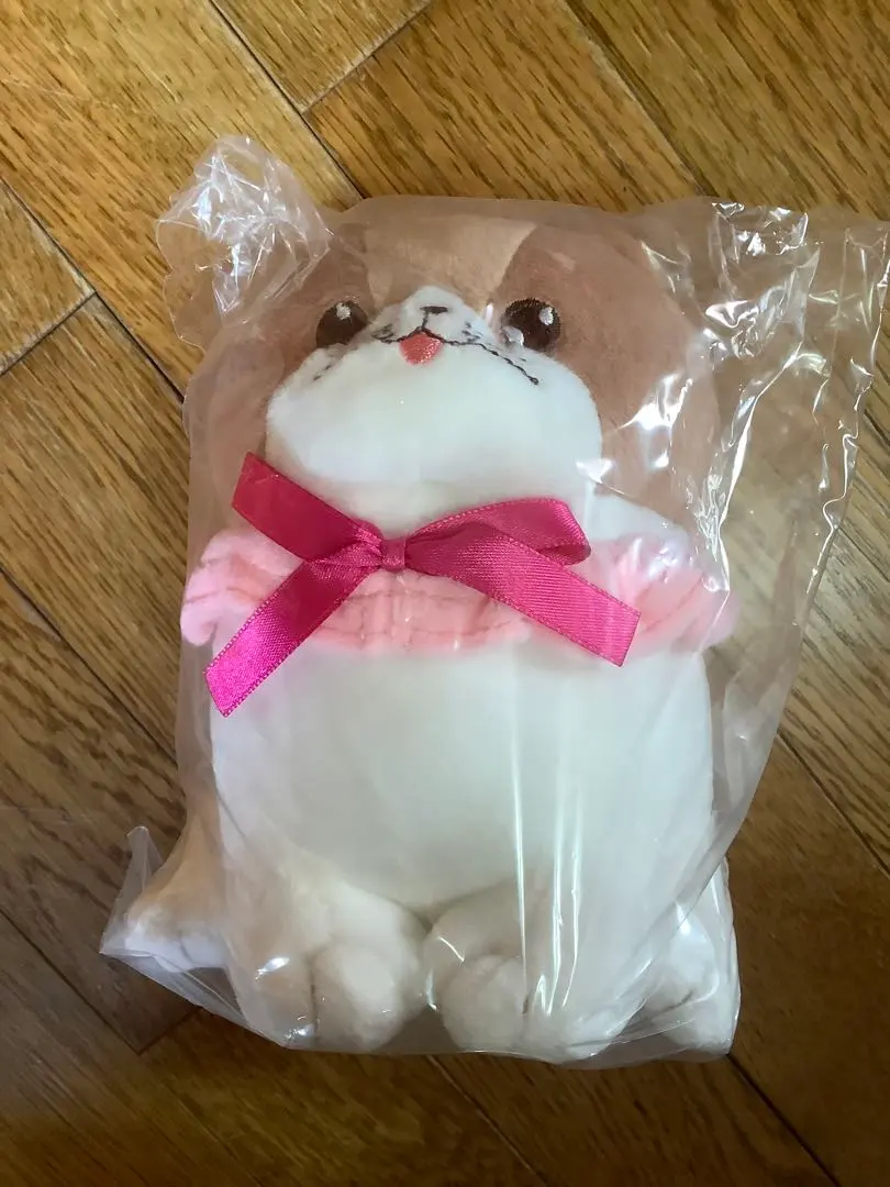 2026年最新】正反対な君と僕 てんぷらの人気アイテム - メルカリ