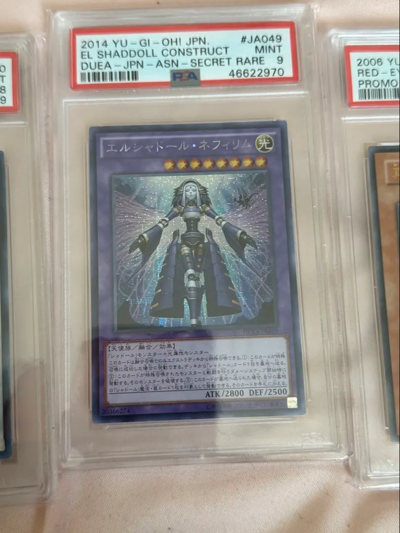 2026年最新】ネフィリム アジア シークレットの人気アイテム - メルカリ