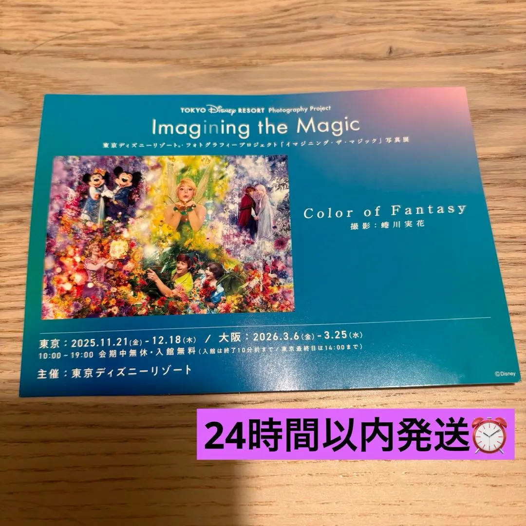 2026年最新】ディズニー イマジニングザマジック パズルの人気アイテム