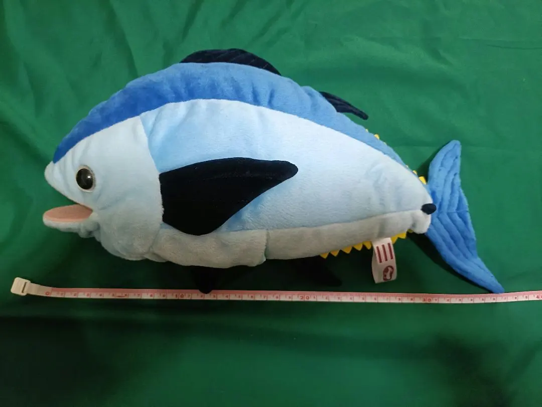 2026年最新】葛西臨海水族園 マグロの人気アイテム - メルカリ