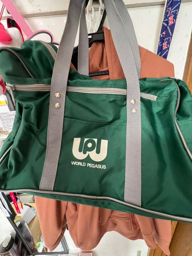2026年最新】ワールドペガサス スクバ ワッペ 緑の人気アイテム - メルカリ