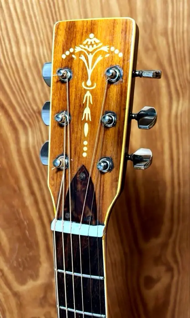 2026年最新】木曽鈴木ギターの人気アイテム - メルカリ