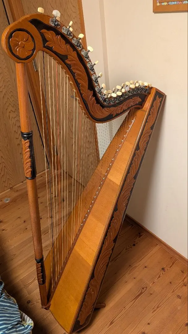 2026年最新】パラグアイ アルパの人気アイテム - メルカリ