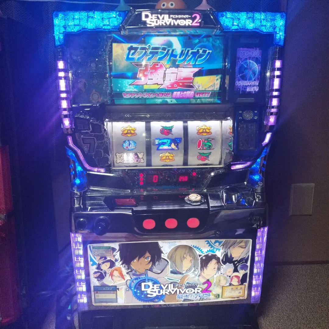 m50654799834_1.jpg?1766979899